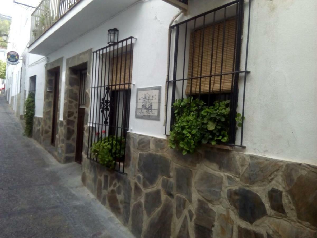 Casa Rural Majaceite Konuk evi El Bosque Dış mekan fotoğraf