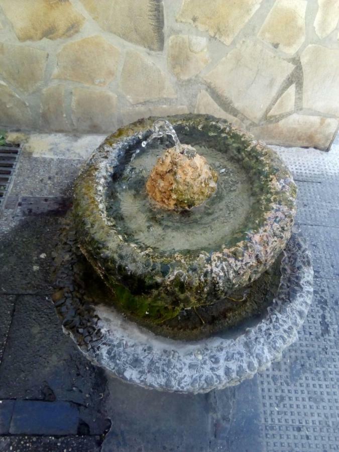 Casa Rural Majaceite Konuk evi El Bosque Dış mekan fotoğraf